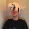 Psycho