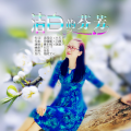 唐东辉 - 洁白的芬芳