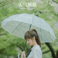 小浣熊nice - 天气预报