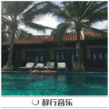 光头佬 - 我也试过和不喜欢的人有说有笑