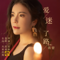 蒋婴 - 爱迷了路