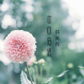 韩高辉 - 痴心为了谁