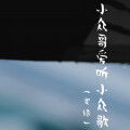 王旺旺 - 小众哥爱听小众歌