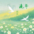 煾林 - 流年