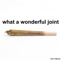 What a Wonderful Joint