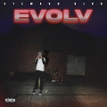StewardBlvd - GSM