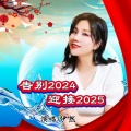 告别2024迎接2025