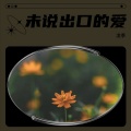 凌季 - 未说出口的爱