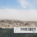 贵州枫羽 - 忘了吧算了吧