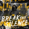 Rayvolt - Break The Silence
