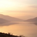 Meditation Music、Inner Peace Sounds、Peaceful Music - Firefly Lantern