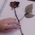 iracha - เรื่องเล่าของเจ้าหญิง