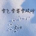 雪飞雪舞雪破碎