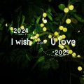 I Wish You Love