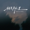 成学迅、黑豆ado - 相思寄风里