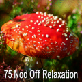 Relaxing Music 101 - Nights Grace