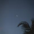 轻松音乐 - 夜，萤火虫和你