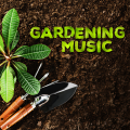 john butler trio - Spring To Come