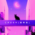 Crush (越南鼓)
