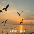 顾依辰 - Trouble Is a Friend.wav