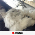 精灵王、圈妹、小奶瓶、小可 - 慢慢相遇