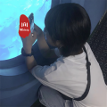 MC沈梦瑶、小奶瓶、圈妹、小可 - 大哥的女人