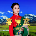 德德 - 高原蓝