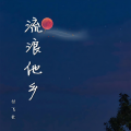 付飞社 - 流浪他乡