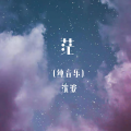 茫 (纯音乐)