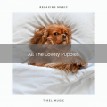 Dog Music Dreams、Sleepy Pets - Vivid Happy Dogs and Stressed People