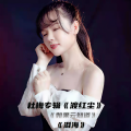 杜梅 - 泪海