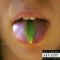 zzoilo - Menta