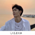 猛虎独行 废物才结群