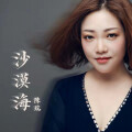 陈瑞 - 沙漠海