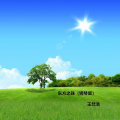 王梵浩 - 海上花