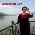 廖水花 - 水墨丹青一世情