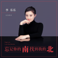 李乐乐 - 忘记你的南找到我的北