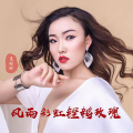 惠盼盼 - 风雨彩虹铿锵玫瑰