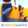 夏天健身房运动音乐: 肾上腺素分泌, 腹肌运动, 有氧运动BGM