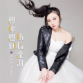 林秋风、贵州雨神GZYS - 想你想到伤心流泪