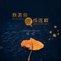 欢欢 - 我怎会混成这样