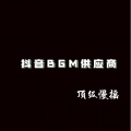 DJ、抖音BGM供应商 - Dream It Possible (Remix)