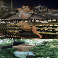 爱遇 - 保质期