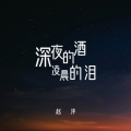 赵洋 - 深夜的酒 凌晨的泪