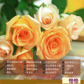 鶴鳴大樂隊 - 妈妈请你也保重
