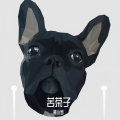 赛小罗 - 苦茶子