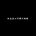 大笨熊 - 千本樱