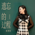 姚璎格 - 遗忘的过程