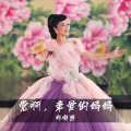 郑海燕 - 党啊亲爱的妈妈