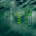 泉水叮咚响 - 伤心的雨季